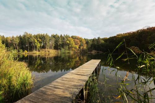 Natura senza barriere