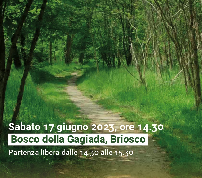 Orienteering nel bosco 